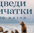 Фильм о российской дикой природе «Медведи Камчатки. Начало жизни» покажут в  Брянской областной библиотеке (12+) - Унечская газета