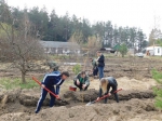 В брянской Жуковке ведутся работы по благоустройству дендросада