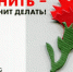 В Брянской области, как и по всей России, проходит акция «КРАСНАЯ ГВОЗДИКА» - Унечская газета