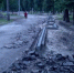 В областном центре Брянской области серьезно взялись за реконструкцию Майского парка - Унечская газета