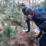Поисковики из брянской Жуковки обнаружили места захоронения времен ВОВ - Унечская газета