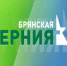Канал «Брянская губерния» покажут на Общественном телевидении России - Унечская газета