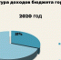 Казна областного центра Брянщины в 2020 году будет социально ориентированна - Унечская газета