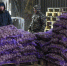 Экспорт продуктов Брянской области увеличился - Унечская газета