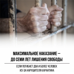 Госдума против фейков