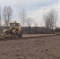 На Брянщине продолжаются весенне-полевые работы - Унечская газета