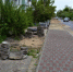 В брянском городе Унеча продолжаются работы по благоустройству - Унечская газета