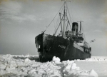 Ушла в море