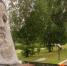 В Новозыбкове,что на Брянщине, благоустраивают памятный знак и мемориал - Унечская газета