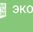 В Унечском лесничестве подвели итоги реализации регионального проекта «Сохранение лесов» - Унечская газета