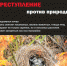 Отдел надзорной деятельности и профилактической работы по Унечскому району напоминает местным жителям о мерах пожарной безопасности - Унечская газета