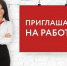 Работодателями Унечского района открыты для приема на работу 237 вакансий - Унечская газета