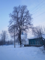 Дмитриев день