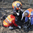 В общероссийском субботнике брянцы смогут поучаствовать онлайн - Унечская газета