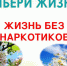 Лучше не пробовать - Унечская газета