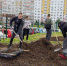 Сотрудники подразделений Главного управления МЧС России по Брянской области приняли участие во Всероссийском экологическом субботнике «Зеленая Россия» - Унечская газета