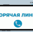 В областном центре Брянщины действует горячая линия по вопросам образования - Унечская газета