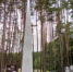 В 2022 году в Унечском городском парке имени Уральских добровольцев создан мемориальный комплекс - Унечская газета