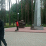В Унече провели эколого-патриотическую акцию » Чистая Память» - Унечская газета