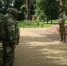 В Брянской области рассказали о новом отряде охраны госграницы с Украиной - Унечская газета