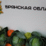В Брянской области увеличился индекс производства продукции сельского хозяйства - Унечская газета