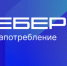 Интернет завоевал симпатии старшего поколения - Унечская газета