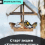 Как сделать правильную кормушку и помочь пернатым зимой: стартовала акция «Хранители птиц» - Унечская газета