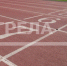 Легкоатлетка Мария Прохорец из Брянска стала чемпионкой России - Унечская газета