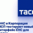 ФНС и Корпорация МСП тестируют новый интерфейс ЕНС для юрлиц - Унечская газета