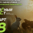 Брянцев приглашают принять участие в экологическом тестировании «Зелёный Зачёт» - Унечская газета