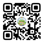 Госпаблики — это удобно, полезно, надёжно!