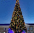 Центральную площадь Унечи украсила главная новогодняя красавица-ель - Унечская газета