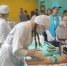 В Брянской области проходит региональный этап чемпионата «Профессионалы» - Унечская газета
