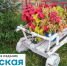 В Сеще Брянской области благоустроят 2 двора - Унечская газета