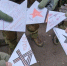 Школьники Брянской области написали письма росгвардейцам на приграничье - Унечская газета