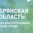 Две недели осталось до окончания голосования за объекты благоустройства в Брянской области - Унечская газета