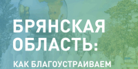 Две недели осталось до окончания голосования за объекты благоустройства в Брянской области - Унечская газета