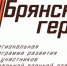 Участник проекта «Брянские Герои» предложил не дожидаться результатов конкурса - Унечская газета