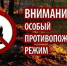 В лесах Брянской области будет введен особый противопожарный режим - Унечская газета