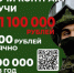 Минобороны приглашает жителей Брянщины на контрактную службу - Унечская газета