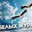 Нажмите для просмотра в полном размере... - Городская библиотека